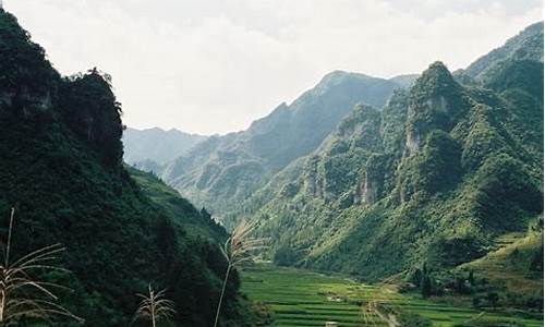 佛宝旅游,佛宝原始森林公园