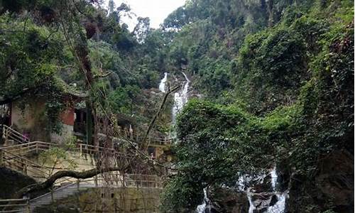 鼎湖山景区景点,鼎湖山旅游攻略浙江推荐