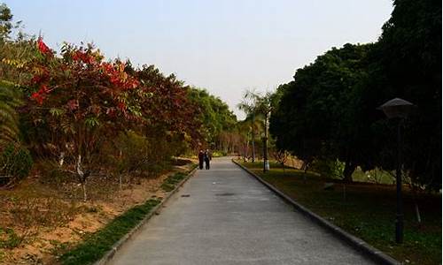 广州龙头山森林公园好玩,广州龙头山景区门票多少钱