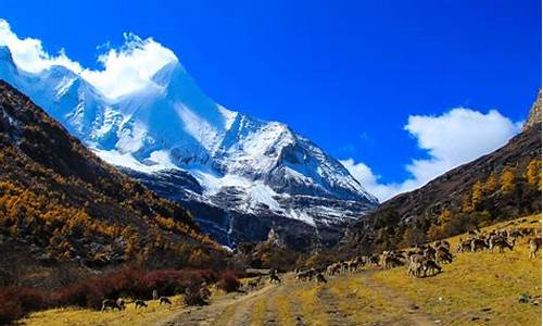 稻城亚丁旅游最佳路线,稻城亚丁穷游攻略