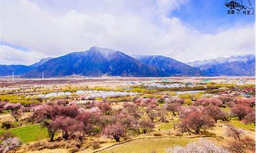 林芝旅游介绍_林芝旅游攻略必玩的景点推荐理由