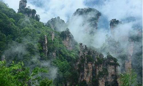 学生游玩张家界,学生张家界旅游攻略