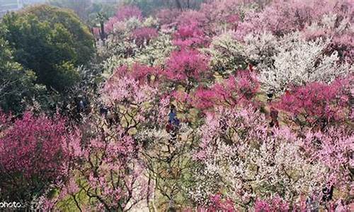 古林公园有什么好玩的,古林公园有什么花花草草