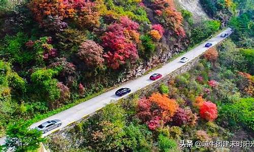 翠华山旅游攻略一日游能带宠物吗_翠华山可以玩水吗