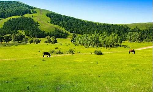 河北承德木兰围场有啥好玩的,自驾承德木兰围场旅游攻略