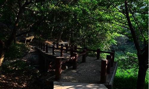 龙头山森林公园住宿_龙头山旅游住宿