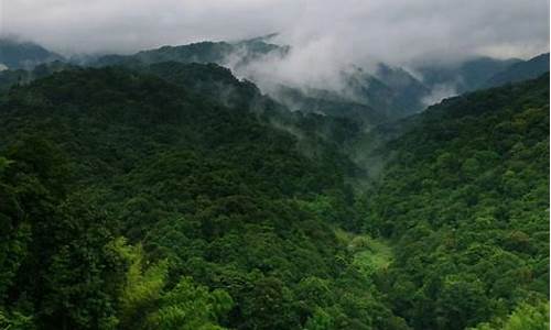 广州南昆山旅游,广东南昆山旅游攻略