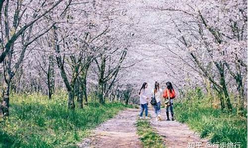 春季旅游景点推荐带孩子玩,春季旅游景点推荐带孩子