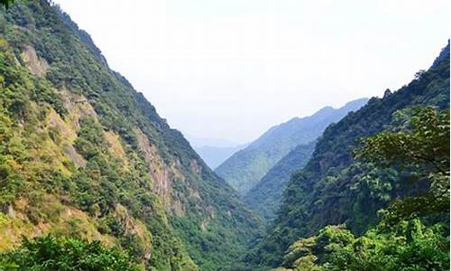 福州旗山森林步道_福州旗山森林公园门票多少钱