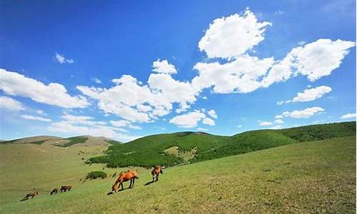 丰宁坝上草原旅游攻略2天-丰宁坝上草原旅游攻略2天