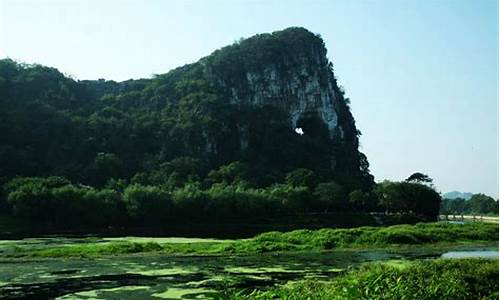 广西桂林穿山公园要门票吗-广西桂林穿山公园