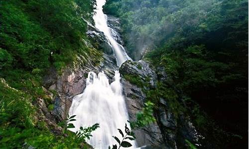 天目山旅游攻略一天游多少钱-天目山旅游攻略一天游