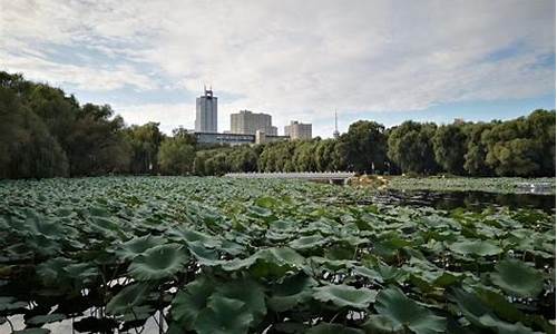 邵阳拔智齿要花多少钱-南湖公园招聘