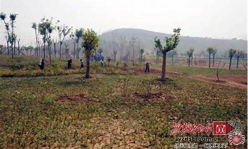 南高基小区地址-南高基公园占地面积