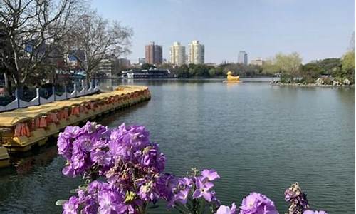 上海长风公园景点图片_上海长风公园景点