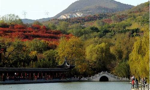 北京森林公园一日游,北京森林公园一圈多少